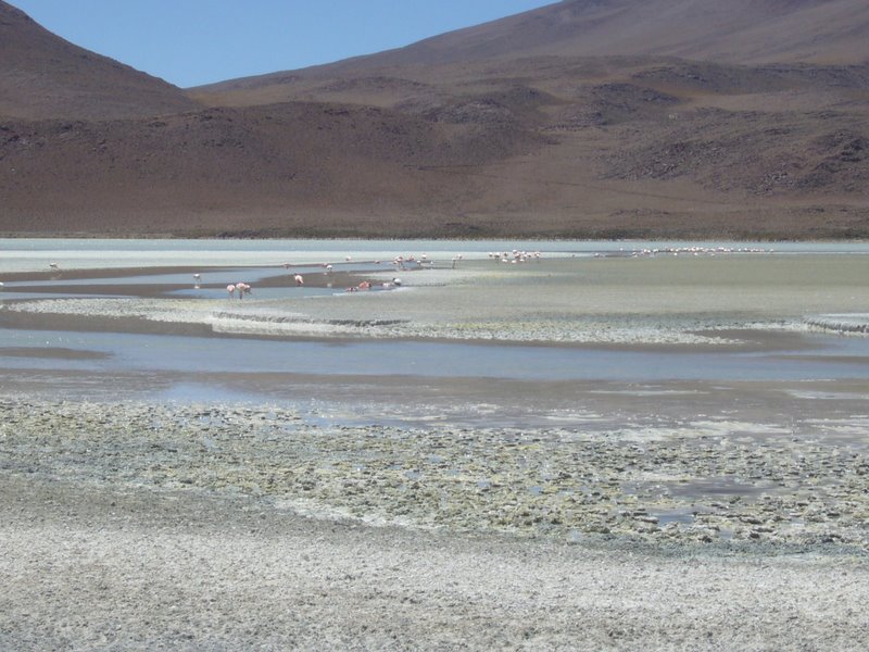 Travel - Bolivia - Salar De Uyuni - Laguna 2